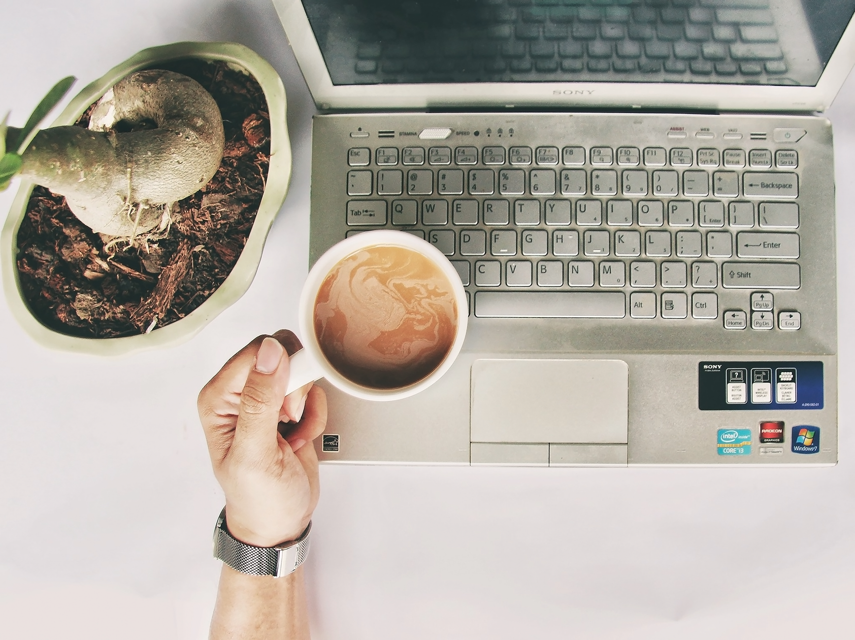 Espace de travail calme avec un ordinateur portable, une tasse de café et une plante, pour illustrer un poste de travail à domicile.